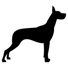 Vector image of a dog silhouette of a breed royal dog on a white background