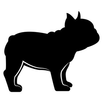 Vector image of a silhouette of a dog breeds a French bulldog on a white background