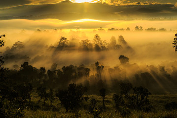 sunrise in the Tung-sa-laeng-luang nationalpark