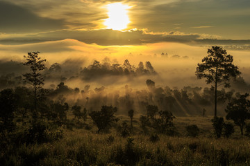 Fototapeta na wymiar sunrise in the Tung-sa-laeng-luang nationalpark