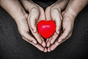 Fototapeta premium Small heart in woman and man hands. Young man and woman holding a red heart on their palm. For love, protection, family and parenthood concept. Close up.