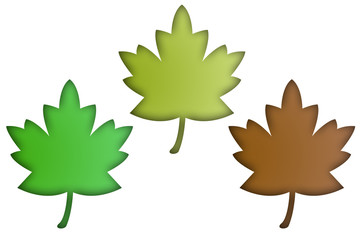 Hojas de árboles en primavera, otoño, e invierno.