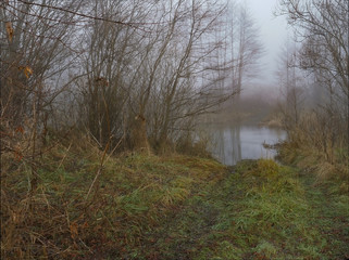 On the river