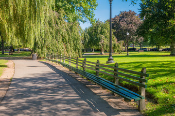 Boston Common Frog Pond is a central public Garden park in downtown Boston, Massachusetts. and city skyline. 