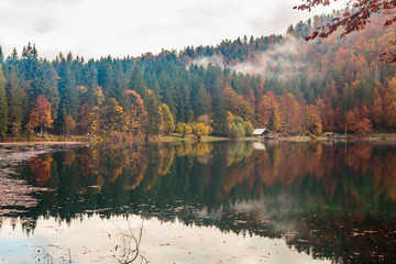 Autumn foliage at the alpine lake