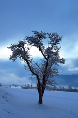 Pustertal im Winter