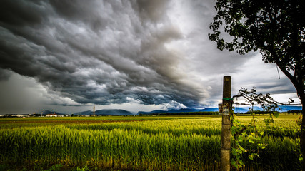 Plakat storm over the fields