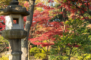 Autumn leaves of Kiyosumi garden / Kiyosumi garden is a metropolitan garden located in Kiyosumi, Koto Ward, Tokyo. In the garden with a pond, it is designated as Tokyo designated scenic spot.