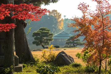 Foto op Plexiglas Herfst Autumn leaves of Kiyosumi garden / Kiyosumi garden is a metropolitan garden located in Kiyosumi, Koto Ward, Tokyo. In the garden with a pond, it is designated as Tokyo designated scenic spot.