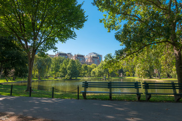 Boston Common Frog Pond is a central public Garden park in downtown Boston, Massachusetts. and city skyline. 