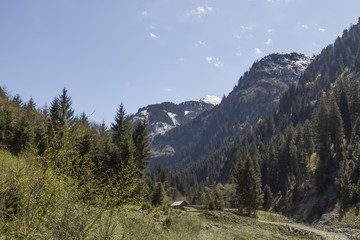 Fototapeta premium Landschaft in Österreich