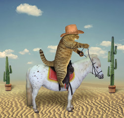 The cat cowboy riding a horse is in the desert among cacti.