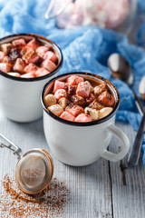 Hot Cocoa with Marshmallows
