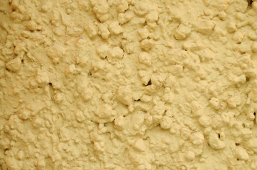 Painted the plaster on the wall .