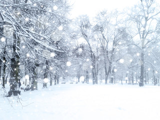 Winter  snowfall landscape. Snowy park.