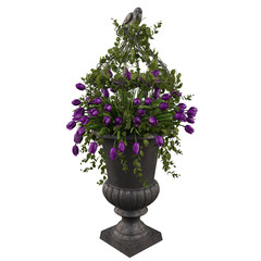 Purple tulips flowers in vase