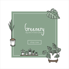 Houseplants, banner with plants like monstera,  succulents.