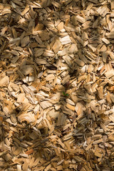Wood chips texture with shadows of a branch with leaves.