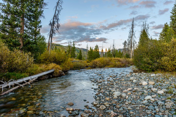 Fototapeta na wymiar Mountain Creek - An autumn evening at Middle Fork Elk River, Routt National Forest, near Steamboat Springs, Colorado, USA.