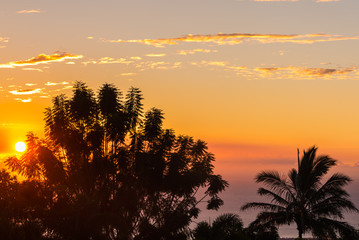 Fototapeta premium Sunset through the Trees