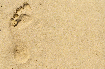 Fototapeta na wymiar Background of fine sand