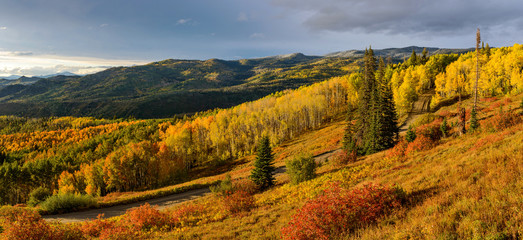 Sunset Autumn Mountain Valley - A panoramic autumn sunset view of golden aspen grove in a mountain...
