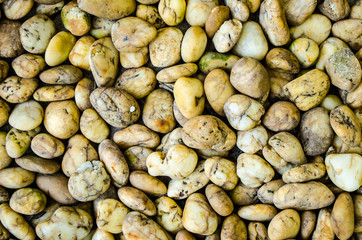 Gray background made of natural stone