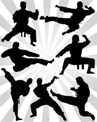 Black silhouettes of karate fighting 