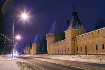 View of evening or night Kremlin in Tsarskoye Selo Pushkin, St.Petersburg, Russia