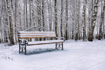 Park bench and trees covered by heavy snow