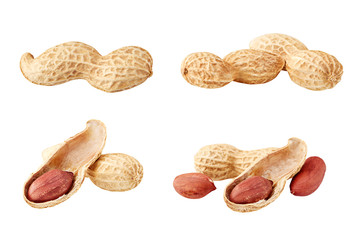 Peanut nut on white background