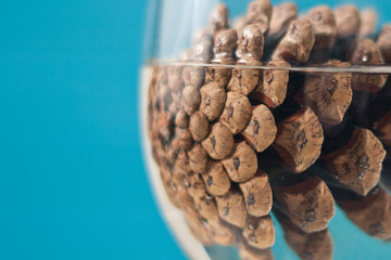 Pine cone close-up in a glass with water on a blue background, selective focus.