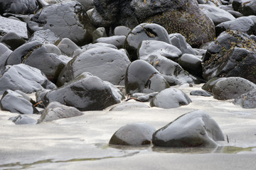 Nasse, schwarze Steine am hellen Sandstrand in den Westfjorden / Island