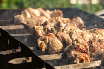 Smoke rises above pieces of meat on skewers roasting on the grill. Shish kebab, bbq, pork.