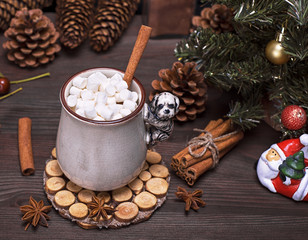 hot chocolate with white marshmallow