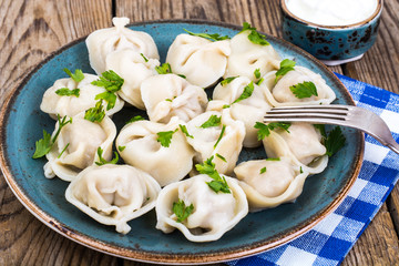 Russian cuisine. Homemade dumplings stuffed meat