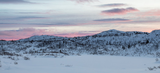 Early pink morning, winter mountain landscape. Panorama.
