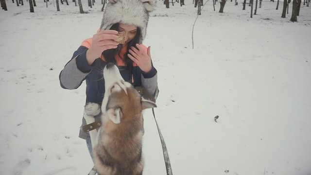beautiful young woman playing with a dog in a winter snowy park