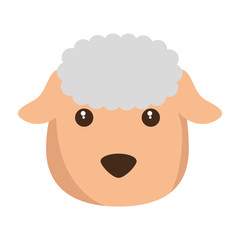 cute sheep character icon vector illustration design
