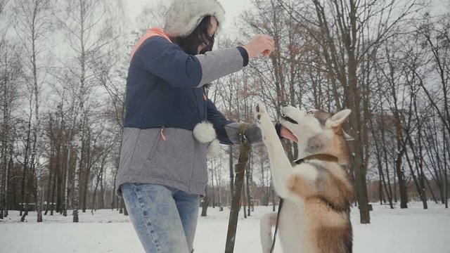 beautiful young woman playing with a dog in a winter snowy park
