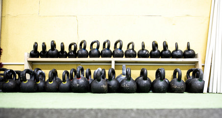 weights in fitness gym 