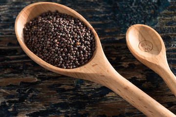 Brown Mustard Seeds in a Teaspoon