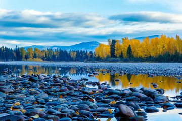 River rocks and color reflection on Flathead River, Montana in autumn with colorful fall trees - obrazy, fototapety, plakaty