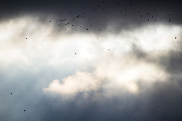 rays of the sun beautifully make their way through the clouds