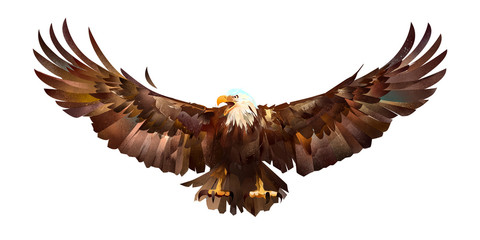 Fototapeta na wymiar drawn sketch colored eagle on a white background