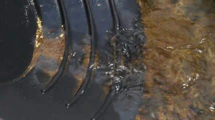revealing flakes of gold in a pan
