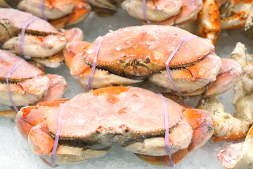 Close up on steamed crab frozen on the ice