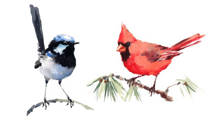 Cardinal and Fairy Wren Two Birds Watercolor Hand Painted Illustration Set isolated on white background
