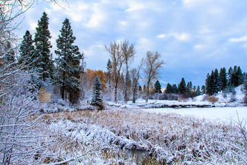 Whitefish River in fall, October, with marsh and field covered with snow, peaceful sky and clouds...