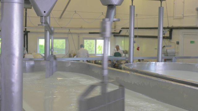 Milk vat in cheese factory mixing the milk and rennet to start the cheese making process